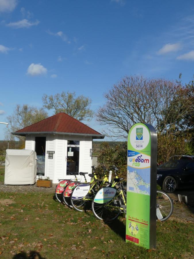 Landhaus Am Haff Stolpe auf Usedom Екстер'єр фото