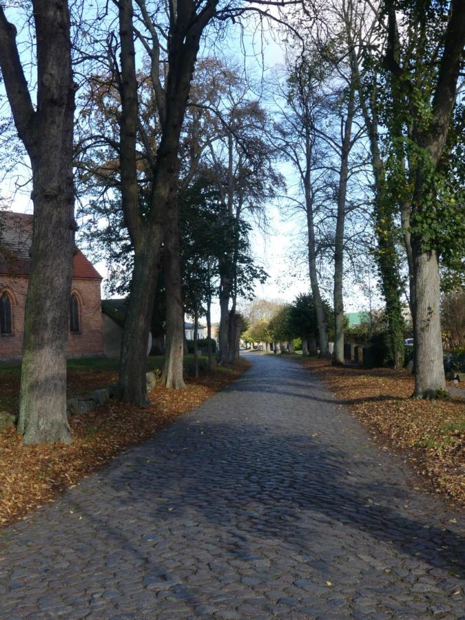 Landhaus Am Haff Stolpe auf Usedom Екстер'єр фото