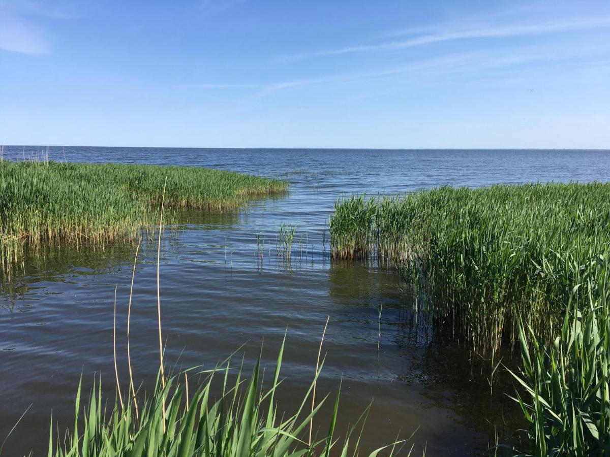Landhaus Am Haff Stolpe auf Usedom Екстер'єр фото