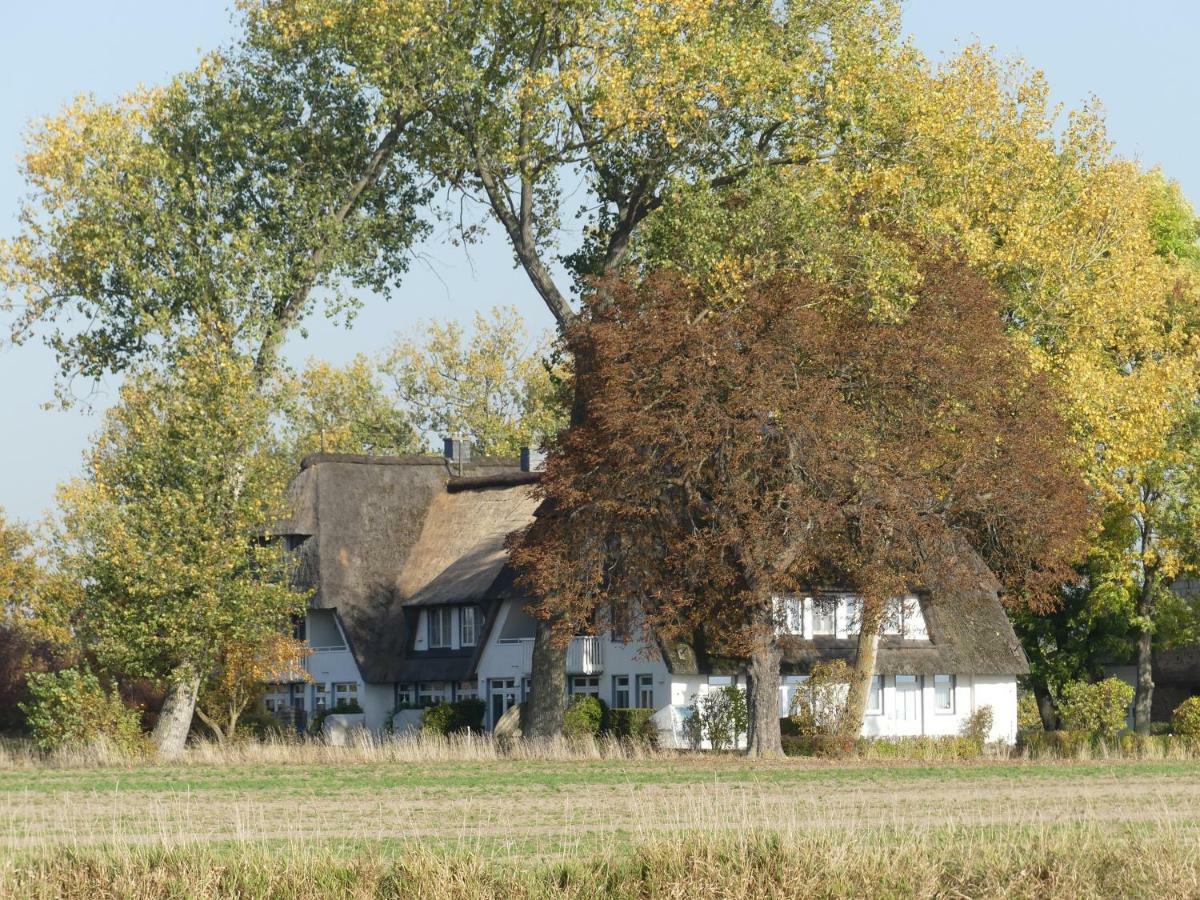 Landhaus Am Haff Stolpe auf Usedom Екстер'єр фото